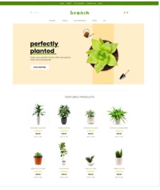 Branch Preview Website Template