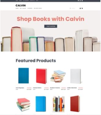 Calvin Books Preview Website Template