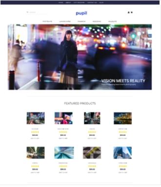 Pupil Preview Website Template