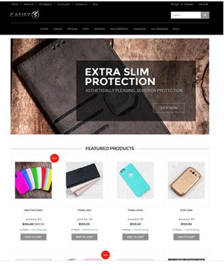 Casify Preview Website Template