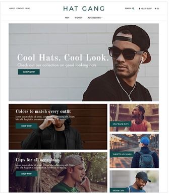 Hat Gang Preview Website Template